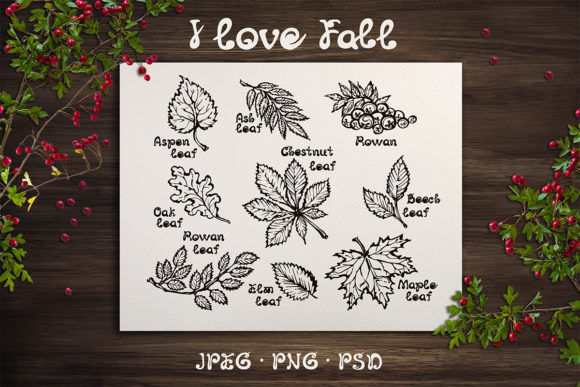 Download 9 Hand-sketched Fall Leaves - Premium Resources