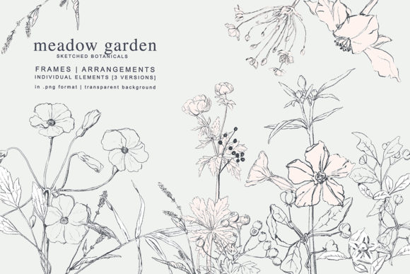 Download Pencil Sketched Botanicals Set - Sketched Collection